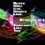 Bravo Mike feat. Monica Link - Someone Like You [Shifted Music]