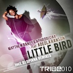 Matthew Bandy & Aphrodisiax feat. Adeola Ranson - Little Bird [Tribe Records]