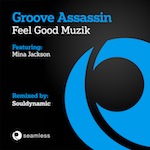 Groove Assassin feat. Mina Jackson - Feel Good Muzik [Seamless]