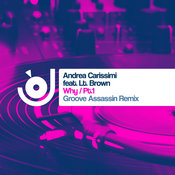 Andrea Carissimi ft. LT Brown - Why [Just4Funk]